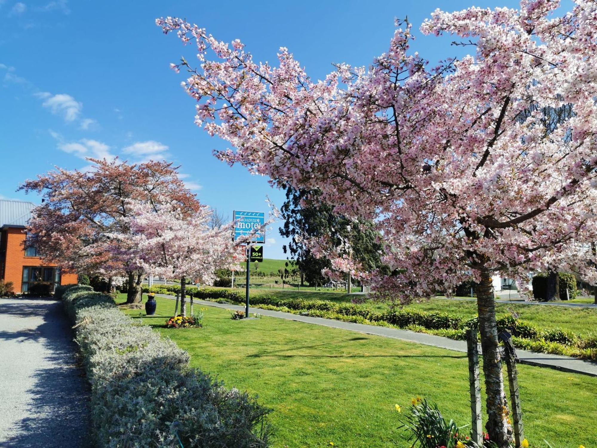 Broadview Motel Cheviot ภายนอก รูปภาพ